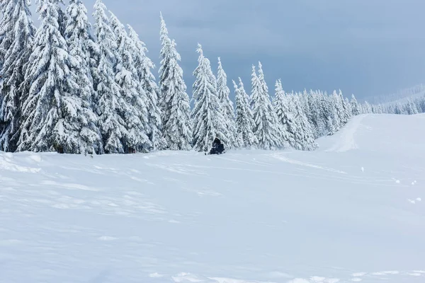 Όμορφο Χειμερινό Τοπίο Χιονισμένα Δέντρα — Φωτογραφία Αρχείου