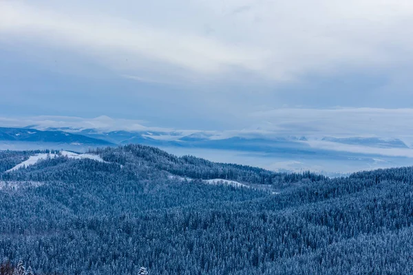 Árboles Invierno Montañas Cubiertas Nieve Fresca —  Fotos de Stock