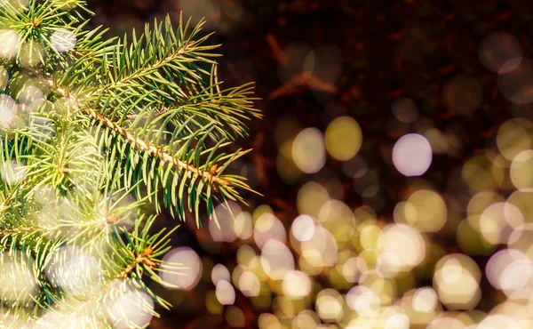 Weihnachtsbaum Mit Dekoration Neben Einem Kamin Mit Lichtern Hochwertiges Foto — Stockfoto