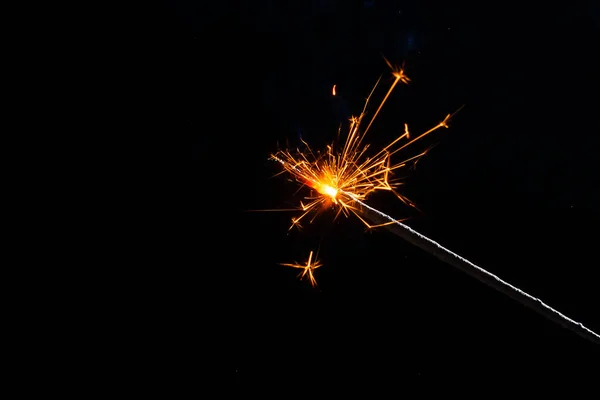 불타는 참새를 가까이 — 스톡 사진