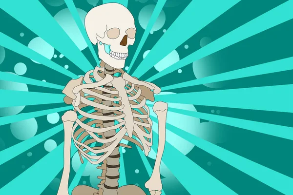 Human Skeleton Illustration Colored Background — Stock Photo, Image