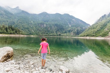 Alp yüksek dağ gölü, kozalaklı ağaçlar suya yansıyor, Antrona vadisi Campliccioli gölü, İtalya Piedmont