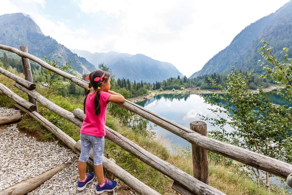 Alp yüksek dağ gölü, kozalaklı ağaçlar suya yansıyor, Antrona vadisi Campliccioli gölü, İtalya Piedmont