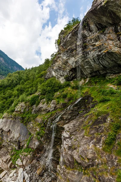 Belle Cascade Composent Eau Dans Forêt — Photo