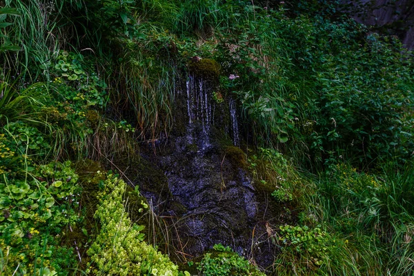 美丽的瀑布是森林中的水 — 图库照片