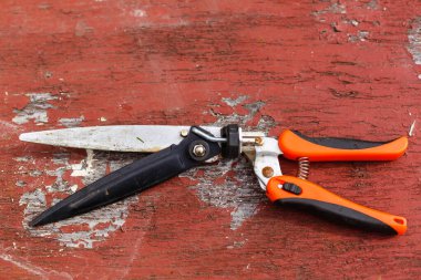 Kırmızı budama makası, bahçe kesicileri ya da el budama aletleri ağaç dallarını ve bahçeleri kesmek için kullanılan bahçe aletleridir.