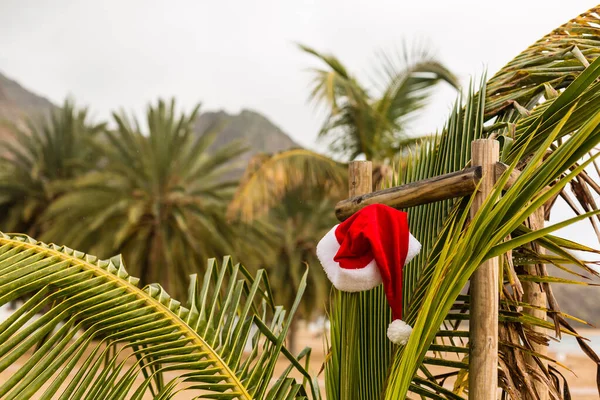 Капелюх Червоного Санти Висить Пальмі Тропічному Пляжі Різдво Тропічному Кліматі — стокове фото