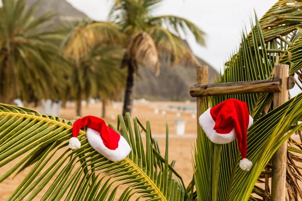 Капелюх Червоного Санти Висить Пальмі Тропічному Пляжі Різдво Тропічному Кліматі — стокове фото