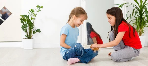 Duas Meninas Brincam Com Hamster — Fotografia de Stock