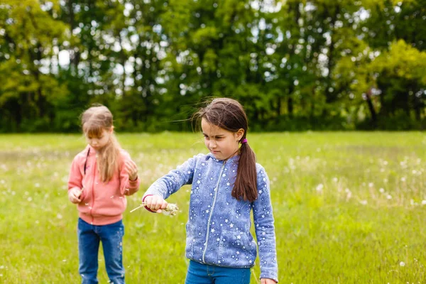 Gadis Kecil Yang Lucu Padang Rumput Hari Musim Panas — Stok Foto