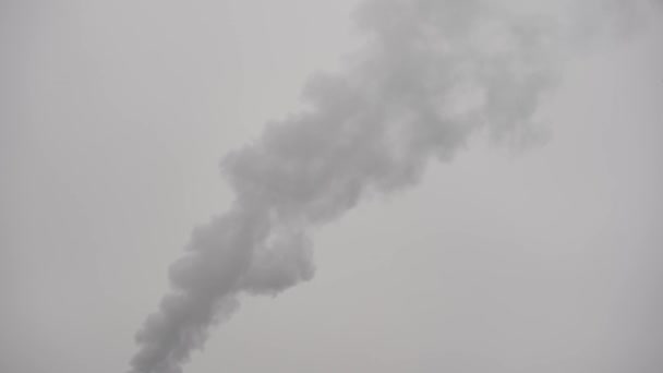 工場の煙突から濃い白煙 大規模な工場からの排出 工場の煙突の近くを飛ぶ — ストック動画