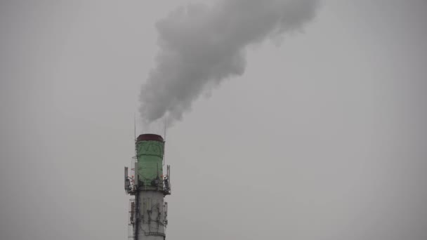 Thick White Smoke Chimney Plant Emissions Large Plant Flying Smoking — Stock Video