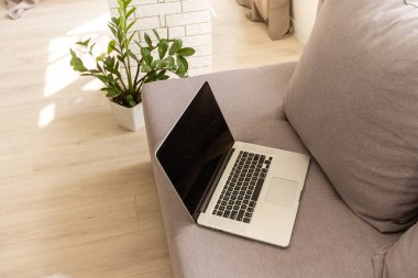 Laptop koltukta, içeride.