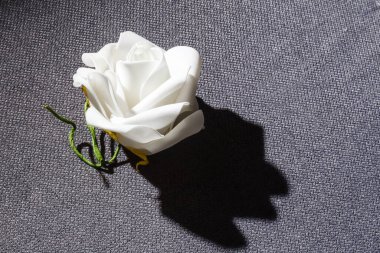 Ölçüm bandı tutan iş adamı, beyaz arka planda izole edilmiş.