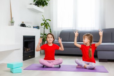 Güzel atletik genç kızlar evde yoga yapıyorlar.