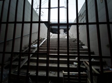 Büyük camdan bir bina.