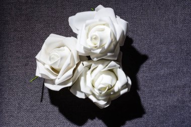 Gri arkaplanda üç beyaz gül