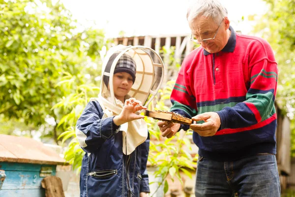 El abuelo apicultor experimentado enseña a su nieto a cuidar de las abejas. Apicultura. Concepto de transferencia de experiencia — Foto de Stock