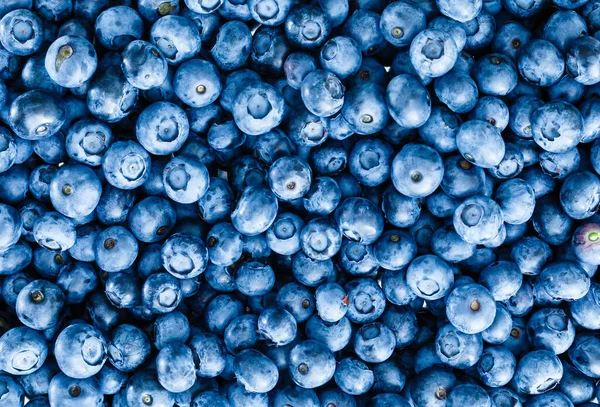 Fresh blueberry background. Texture blueberry berries close up — Stock Photo, Image