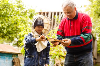 Tecrübeli arı yetiştiricisi büyükbaba torununa arılarla ilgilenmeyi öğretiyor. Apiculture. Tecrübe aktarımı kavramı