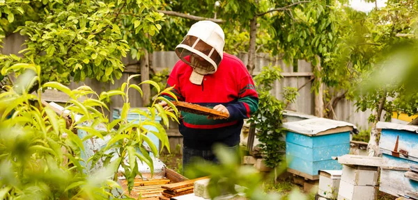 Imker arbeiten mit Bienen und Bienenstöcken am Bienenstock. Imker auf Imkerei. — Stockfoto