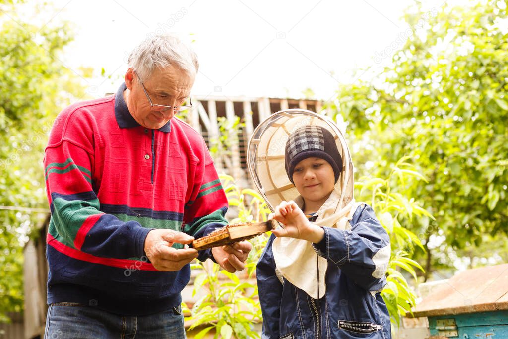 beekeeper grandfather and grandson examine a hive of bees