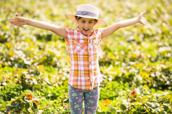 Щаслива маленька дівчинка, яка збирає і їсть полуницю на плантації — стокове фото