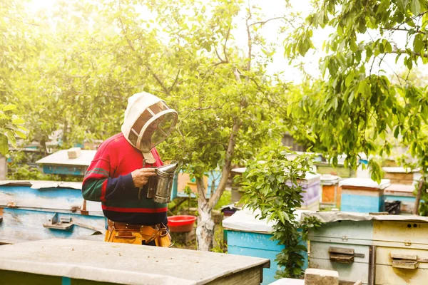 Imker arbeiten mit Bienen und Bienenstöcken am Bienenstock. Imker auf Imkerei. — Stockfoto