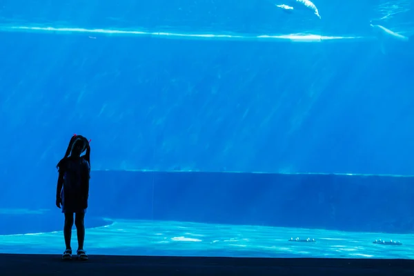 Egy kislány halat keres egy hatalmas akváriumban. — Stock Fotó