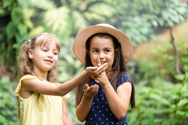 Dvě malé holčičky s motýlky ve skleníku — Stock fotografie