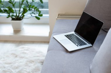 Gri kanepede uzanan kapalı dizüstü bilgisayarın görüntüsü