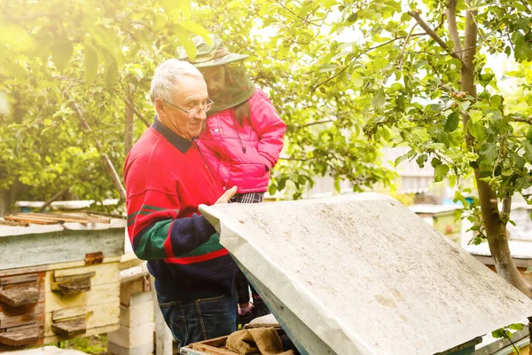 Doświadczony pszczelarz dziadek uczy wnuczkę dbania o pszczoły. Pszczelarstwo. Koncepcja transferu doświadczeń — Zdjęcie stockowe