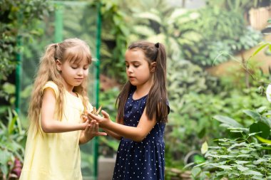 İki kız kardeş ellerinde bir kelebek tutuyor. Doğayı keşfeden çocuklar. Yazın çocuklarla aile eğlencesi..