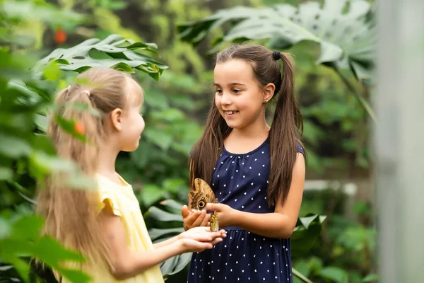 Дві маленькі дівчата з метеликами в теплиці — стокове фото