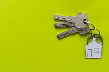 Açık yeşil arka planda ev figürlü iki gümüş anahtarın makro görünümü