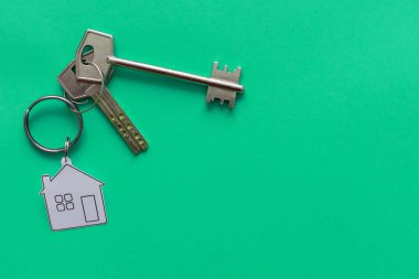 Açık yeşil arka planda ev figürlü iki gümüş anahtarın makro görünümü