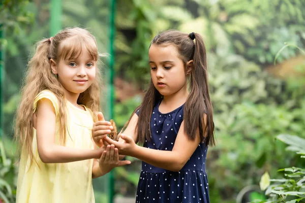 Дві маленькі сестри тримають метелика в руках. Діти досліджують природу. Сімейне дозвілля з дітьми влітку . — стокове фото