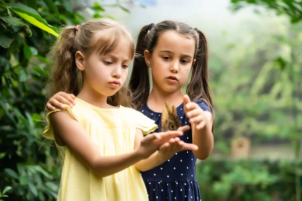 Dua adik perempuan memegang kupu-kupu di tangan mereka. Anak-anak menjelajahi alam. Liburan keluarga dengan anak-anak di musim panas. — Stok Foto