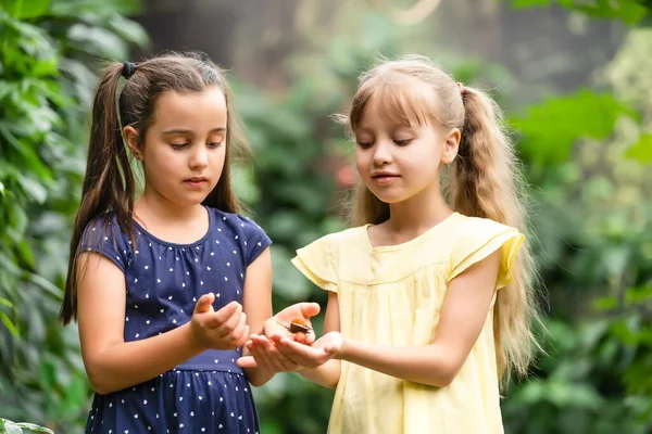 Дві маленькі сестри тримають метелика в руках. Діти досліджують природу. Сімейне дозвілля з дітьми влітку . — стокове фото