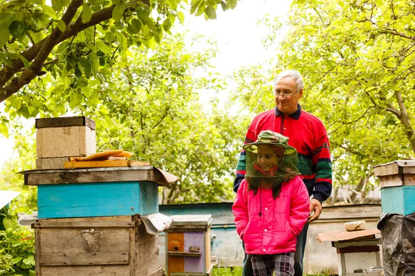 Un apicoltore esperto trasferisce la conoscenza dell'apicoltura ad un piccolo apicoltore. Il concetto di trasferimento di esperienza — Foto Stock