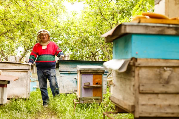 Una fila di alveari in un campo di fiori con un frutteto alle spalle — Foto Stock