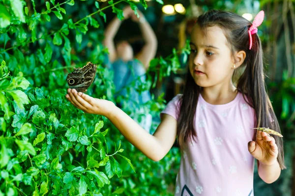 Menina segurando uma borboleta em um campo — Fotografia de Stock