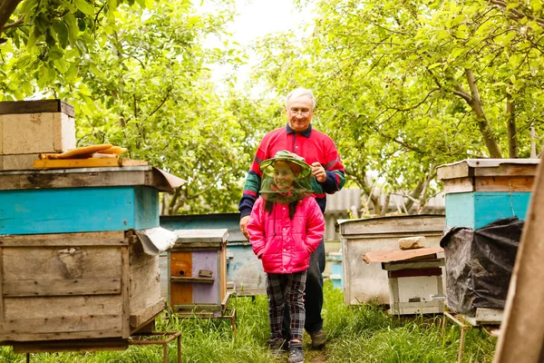 Il nonno apicoltore esperto insegna a sua nipote a prendersi cura delle api. Apicoltura. Il concetto di trasferimento di esperienza — Foto Stock