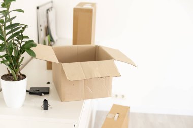 Yeşil top parktaki açık hava tenis kortunun hemen hemen beyaz çizgilerine düşüyor.