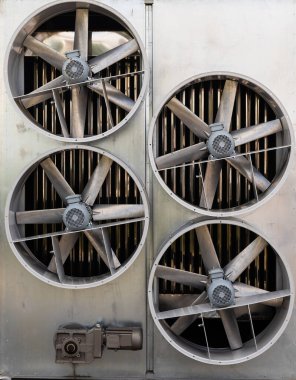 Mangal ve sebzeler profesyonel ızgarada