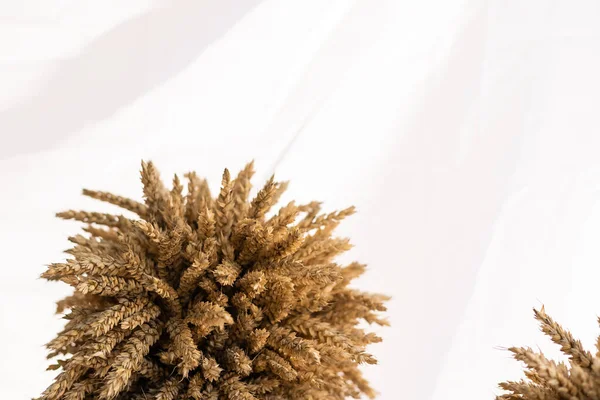 하얀 배경에 따로 놓여 있는 밀로 만든 물갈퀴 — 스톡 사진