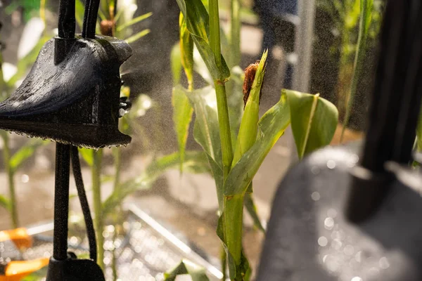 Spray heads of agricultural sprayers. Watering , Spraying machine.