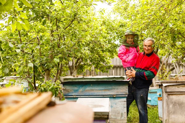 Il nonno apicoltore esperto insegna a sua nipote a prendersi cura delle api. Apicoltura. Il concetto di trasferimento di esperienza — Foto Stock