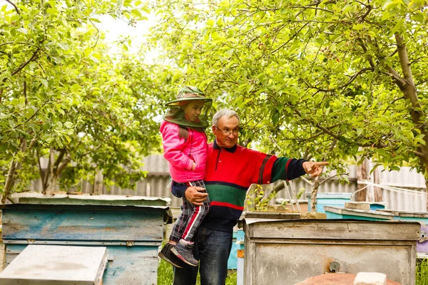 El abuelo apicultor experimentado enseña a su nieta a cuidar de las abejas. Apicultura. Concepto de transferencia de experiencia — Foto de Stock