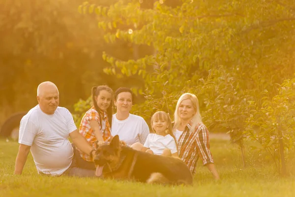 가족을 동행하는 개가 함께 하는 자연의 개념 — 스톡 사진